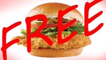 PSA: Wendy’s Is Giving Away Their New Chicken Sandwich For Free Through November 8