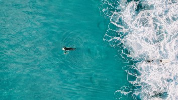 Drone Captures Aussie Pro Surfer Matt Wilkinson’s Terrifying Close Encounter With A Shark