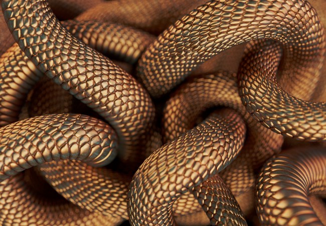 pile of snakes