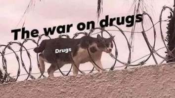 50 Of The Best Damn Photos On The Internet Today