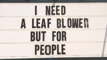 50 Of The Best Damn Photos On The Internet Today