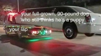 50 Of The Best Damn Photos On The Internet Today