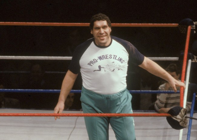 Andre The Giant Drinking Stories