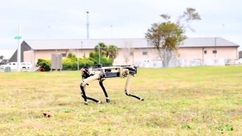 Expert Says Robot Soldiers Just 15 Years Away; Meanwhile, Florida Military Base Deploying Robotic Dogs