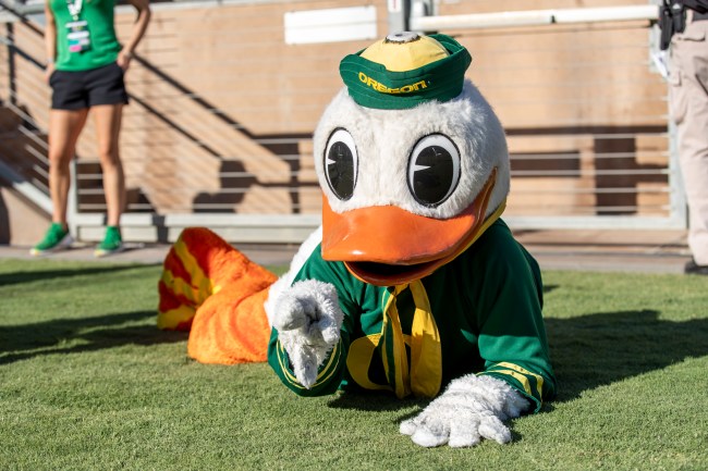 Oregon Football Mascot Duck