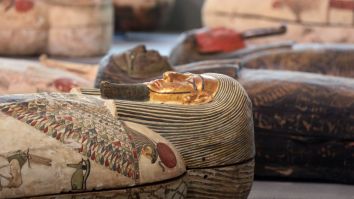 Archaeologists Discover Over 100 Sarcophagi, Test Fate By Opening Ancient Egyptian Coffins And Revealing Mummies