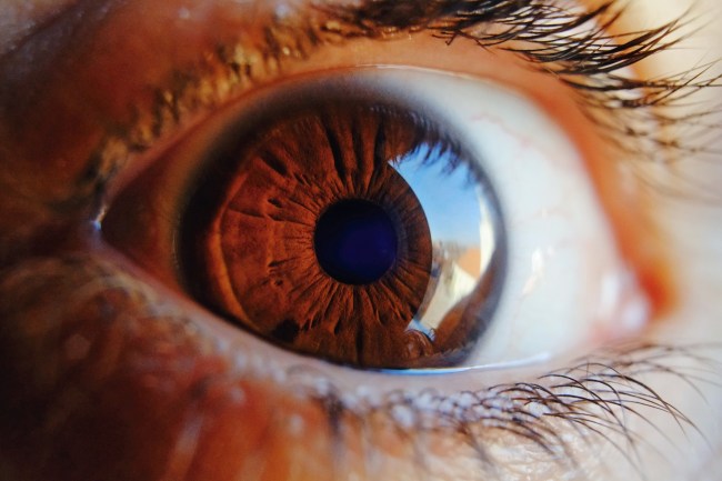 eyeball closeup