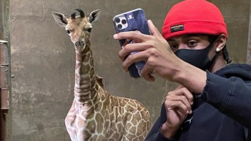 Ja Morant Meets His ‘Son’ Ja-Raffe, Says He’ll Jump Over Him If He’s Ever In The Dunk Contest