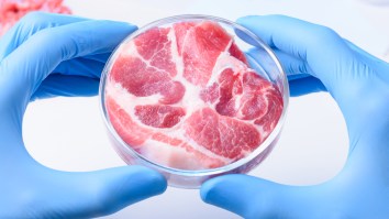 A Company Making Lab-Grown Meat From Human Cells Insists You’re ‘Technically’ Not A Cannibal If You Eat It