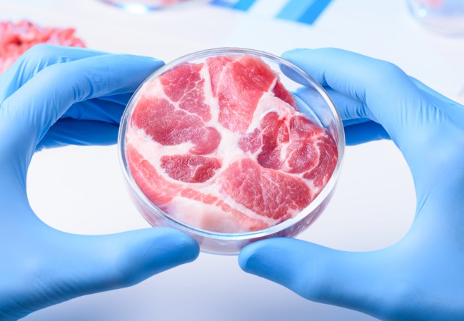 lab grown human meat not cannibalism