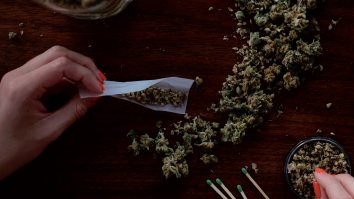 New Jersey Saw A Huge Spike In People Googling ‘How To Roll A Joint’ Sparked By The State’s Legalization Of Marijuana