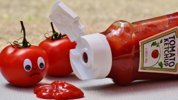 This Timelapse Of What Happens To Ketchup Left Sitting Out For 21 Days Is Trippy AF