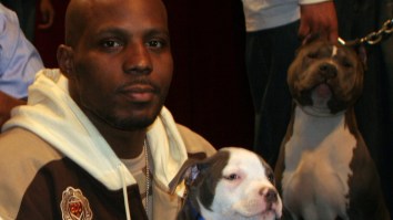 DMX Once Trained A Dog To Growl At A Specific Moment During A Rap Battle Because That’s Just How Ruff Ryders Roll