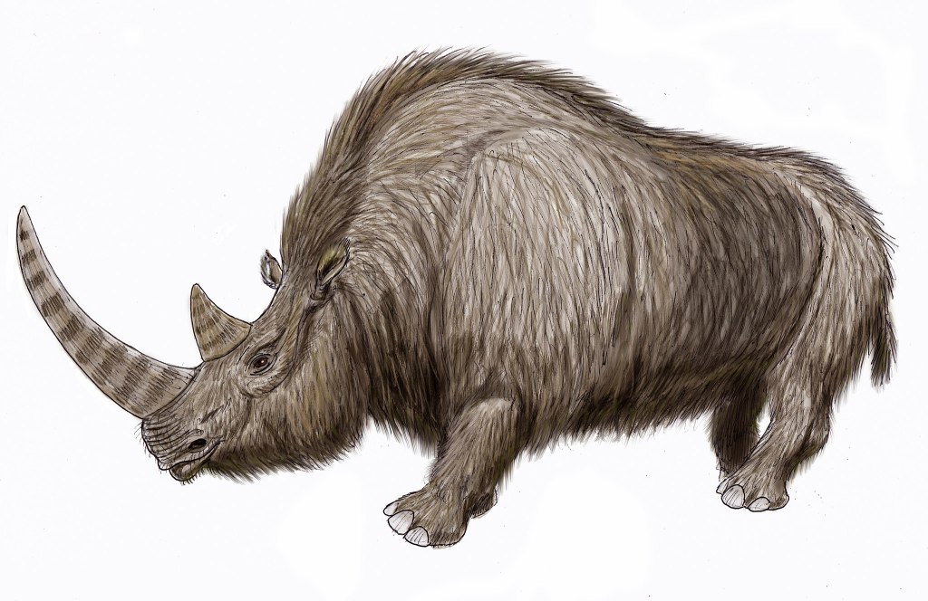 A 20,000-Year-Old Wooly Rhinoceros Was Dug Up From Russia's Permafrost And  It's Wild How Intact It Is - BroBible
