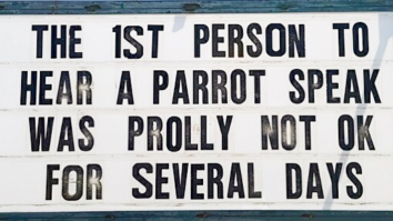 50 Of The Best Damn Photos On The Internet Today