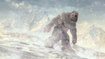Convincing Bigfoot Sighting Reported In British Columbia Spooks Area Residents