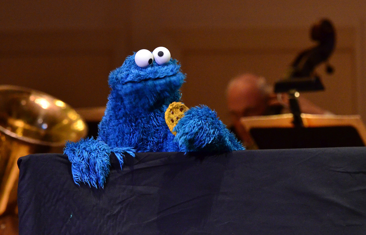 Rare Rock That Looks EXACTLY Like Cookie Monster Could Be Worth $10K