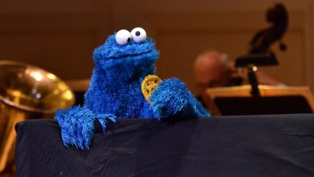 Rare Rock That Looks EXACTLY Like Cookie Monster Could Be Worth $10K