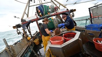 Sea Shanty TikTok Is The Best Viral Trend Of 2021 So Far, Grab Your Tea And Rum