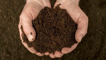 Washington Is The First State To Introduce A New Way To Grow Trees – Human Composting