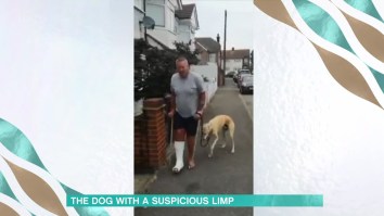 Man Spends $400 Only To Discover His Limping Dog Was Just Imitating Him Out Of Empathy