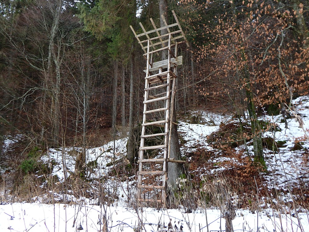 hunting tree stand