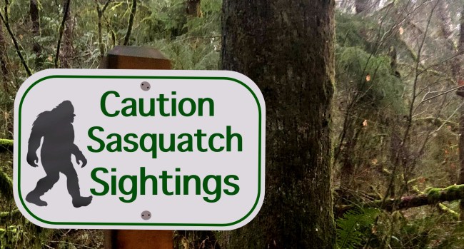 Bigfoot Sighting Reported In California