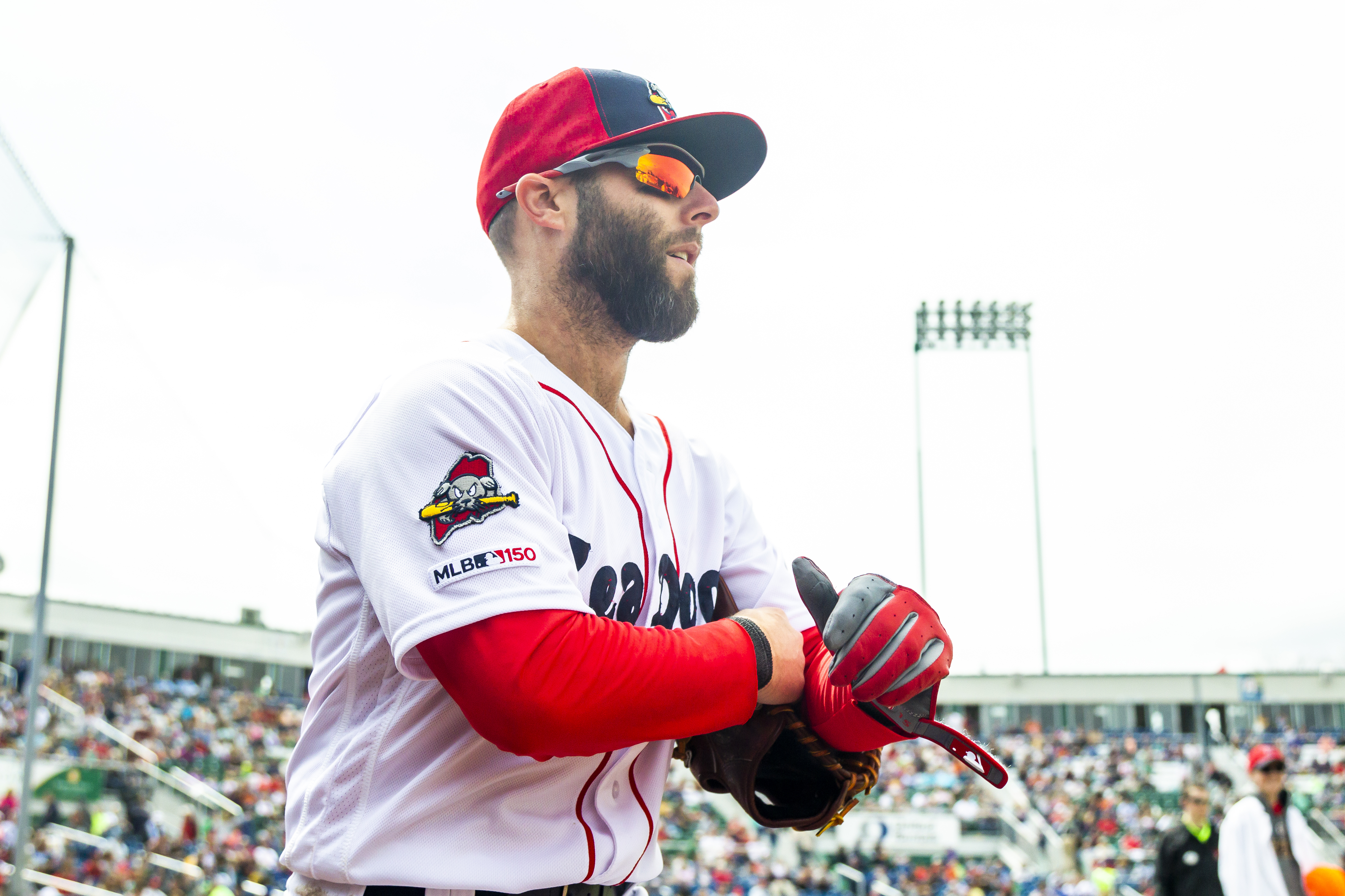Dustin Pedroia kept striving to prove himself in minor leagues