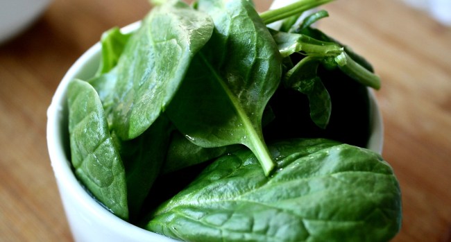 Scientists Have Taught Spinach Plants To Send Emails Using Nanobionics