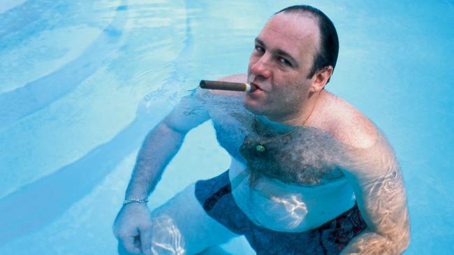 Tony Soprano in a pool smoking a cigar