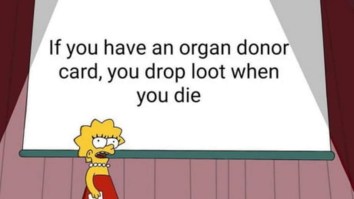 50 Of The Best Damn Photos On The Internet Today