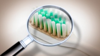 Great News Everybody! Your Toothbrush Probably Isn’t Covered In Poop After All