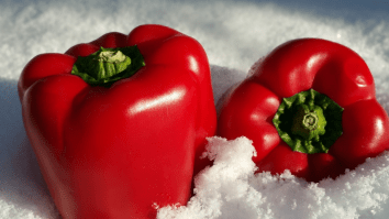 USDA Says It’s Not Safe To Store Food In The Snow If You Lose Electricity