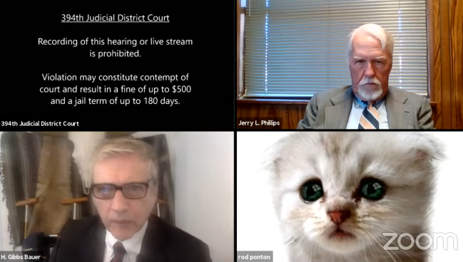 Texas attorney showed up to a video court hearing with a kitten filter on his Zoom account