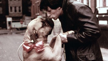 Twitter Thread Details Sylvester Stallone’s Wild Ride Before ‘Rocky,’ Including Selling His Dog And Sleeping In Bus Terminal