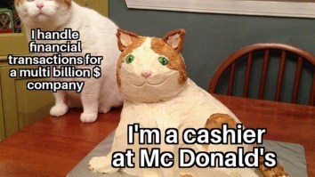 50 Of The Best Damn Photos On The Internet Today