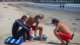 Los Angeles County Lifeguards Make An Absurd Amount Of Money, According To New Report