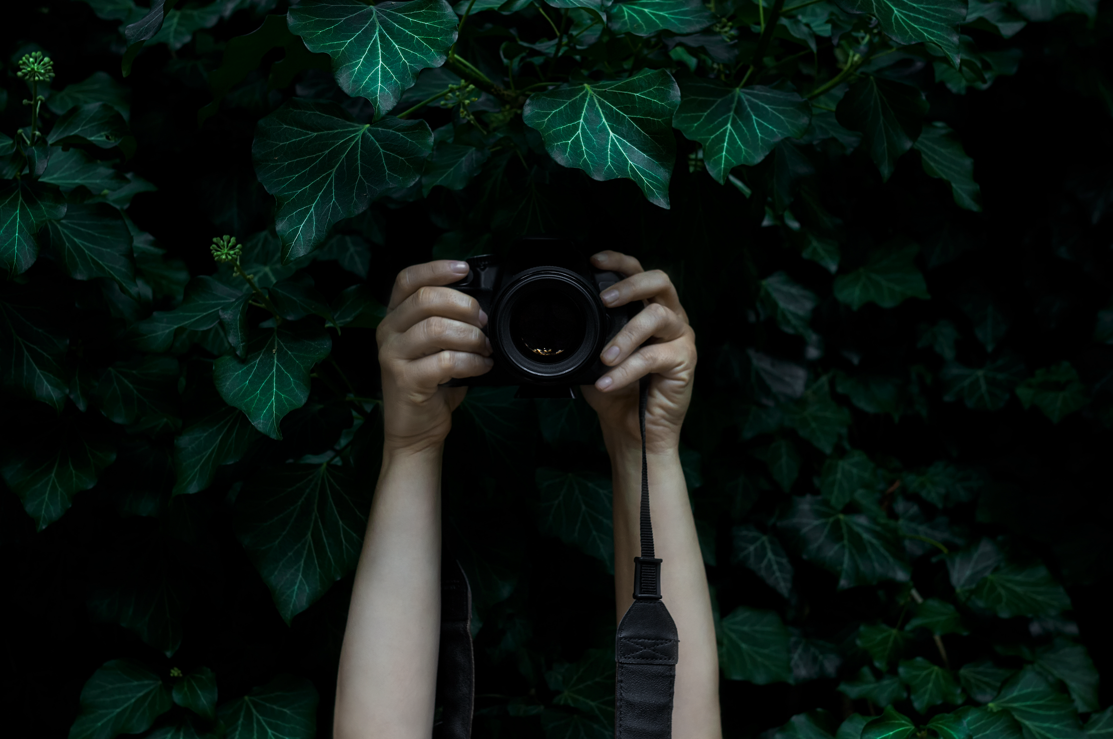 This OnlyFans Blackmail Case Is Absolutely Terrifying BroBible