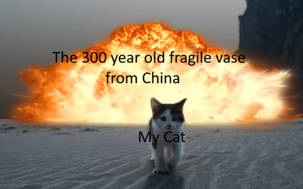 best 50 cat memes 2021