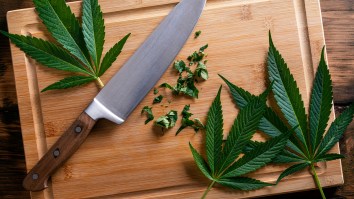 ‘Chopped’ Would Be A Whole Lot Cooler If They Cooked With Weed And Apparently The Food Network Agrees