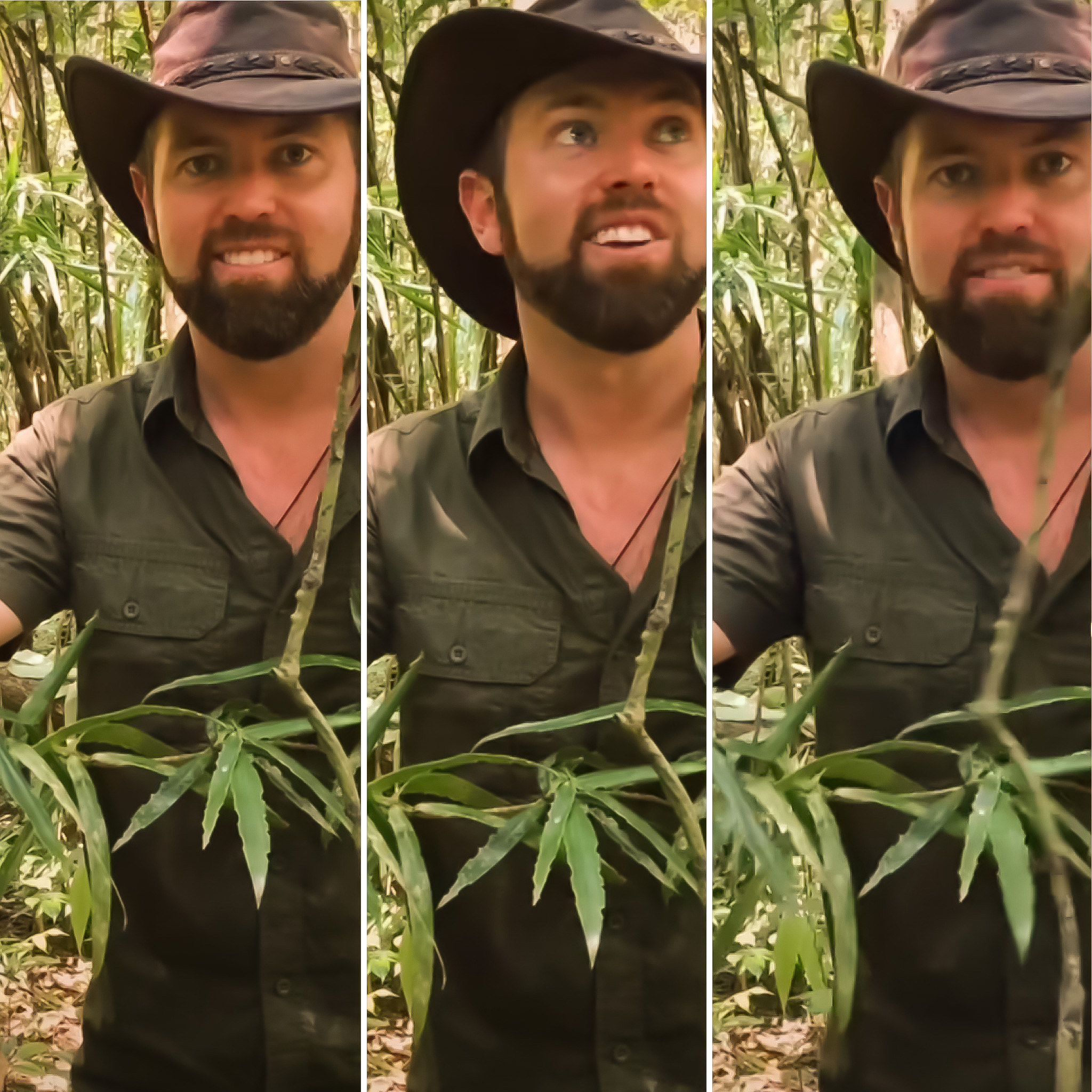 Unveiling The Inspiring World Of Forrest Galante: A Journey Through Wildlife Conservation And Exploration