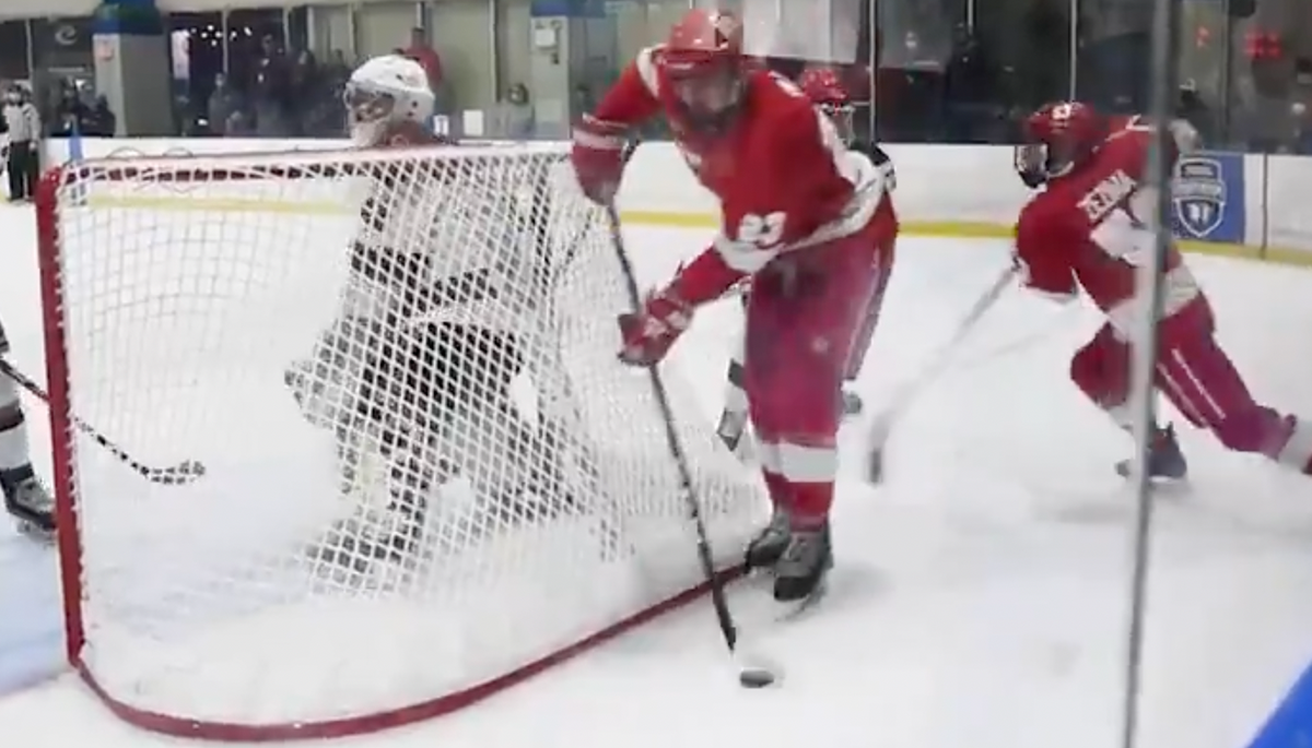 Andrei Svechnikov scores lacrosse-style goal to stun Rittich and Flames