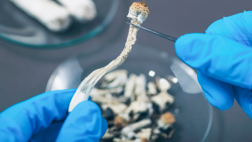 The Co-Founder Of A Company Developing A Way To Vape Magic Mushrooms Explains Why Psychedelics Are On The Verge Of Becoming Mainstream