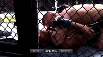 UFC Fighter Tim Elliott Calls Jordan Espinoza A ‘Woman Beater’ While Beating Him Down During Bizarre Conversation In Middle Of The Fight