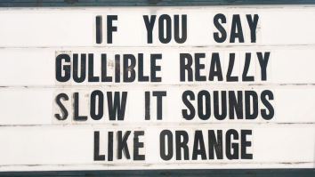 50 Of The Best Damn Photos On The Internet Today