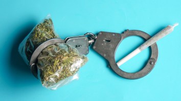 My Boss Is Allowing Me To Tell You The Story Of The Time I Got Arrested For Weed