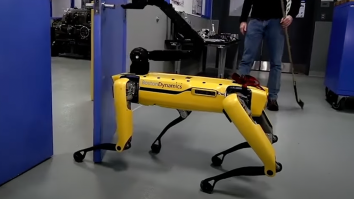 Robot Dogs Are Laughably Easy To Defeat Thanks To These Weak Spots That Will Come In Handy When They Rise Up