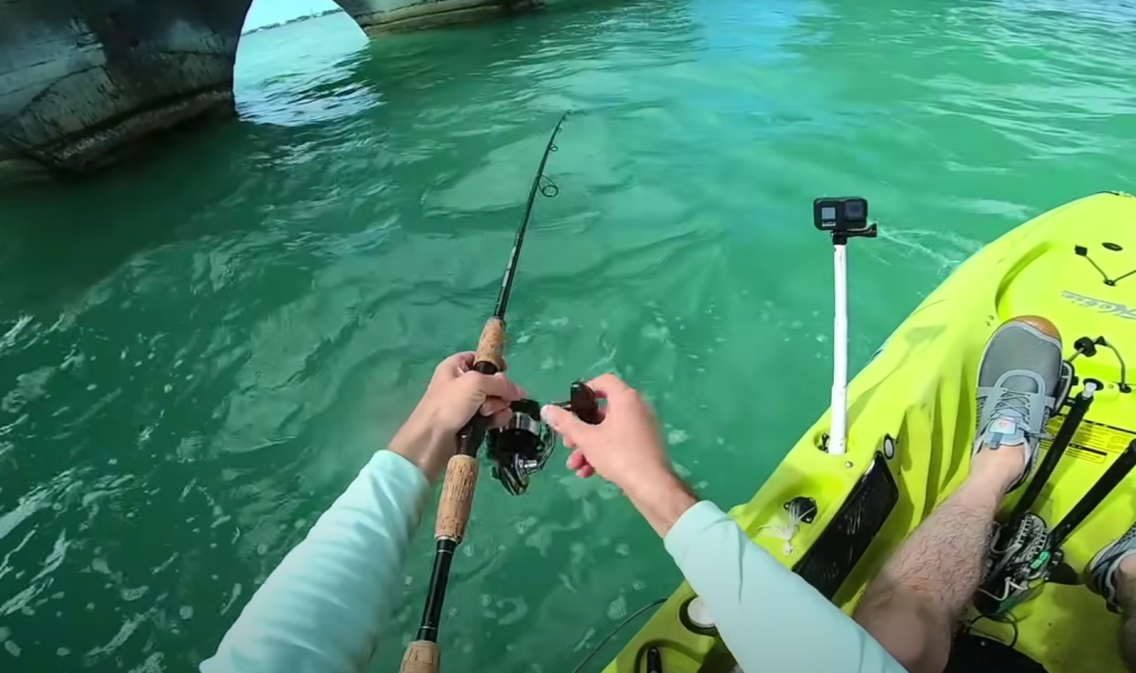 kayak fishing surprise shark