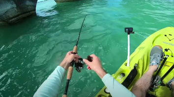 Kayak Fisherman Gets Soaked And Terrified When A Huge Shark Appears Out Of Nowhere