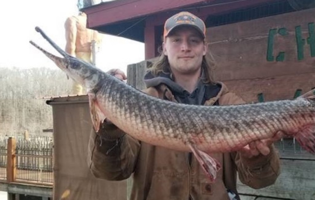 new fishing world record spotted gar